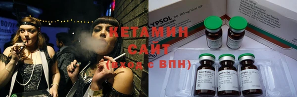 прущие грибы Аркадак