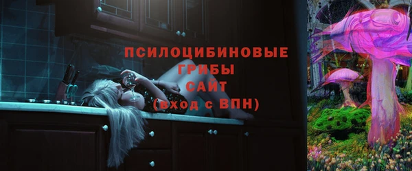 крисы Армянск