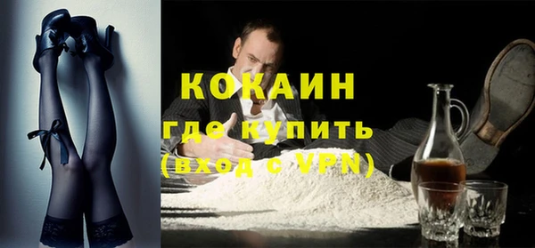 прущие грибы Аркадак