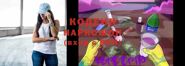 гидра Арсеньев