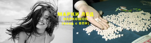 прущие грибы Аркадак