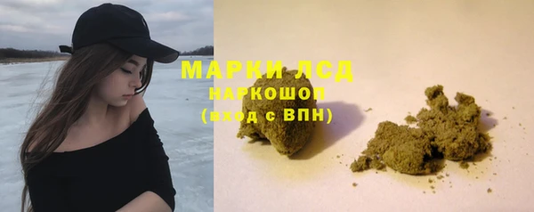 гидра Арсеньев