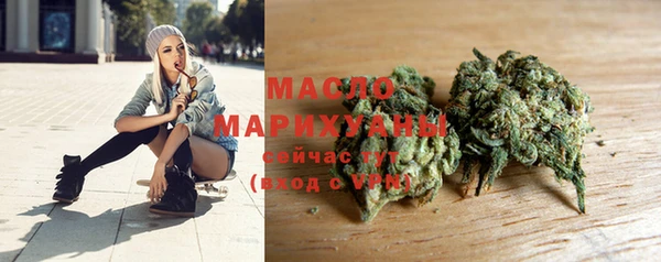 прущие грибы Аркадак