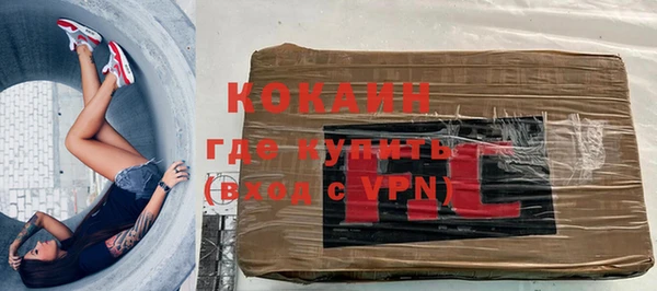 прущие грибы Аркадак