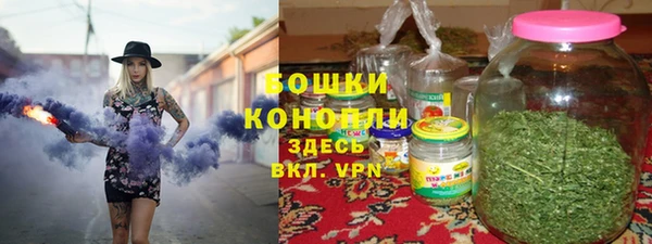 прущие грибы Аркадак
