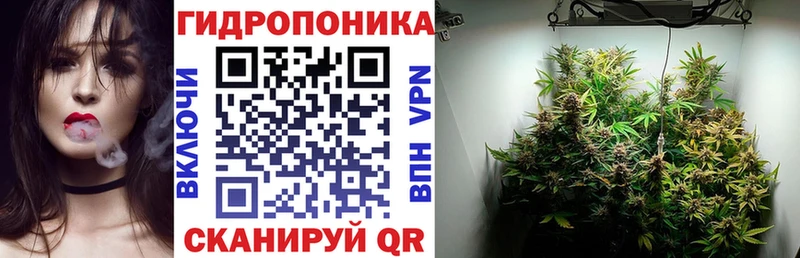 Каннабис планчик  Зуевка 